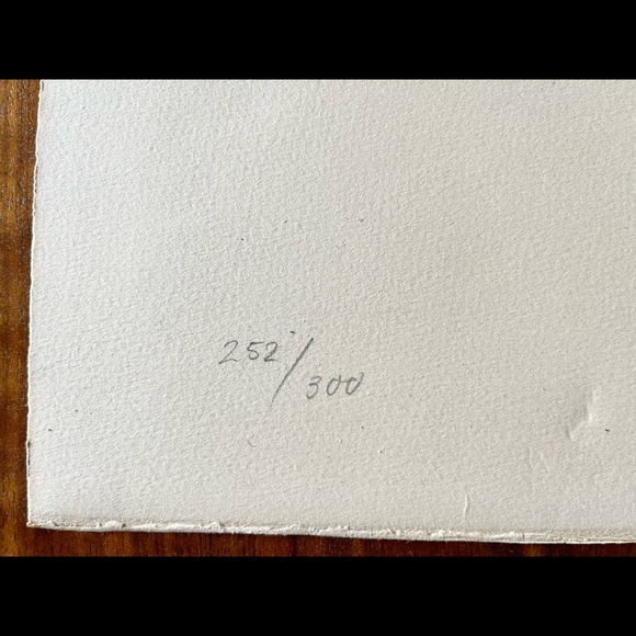 Salvador Dali Signed Limited Edition Lithograph - Picture 3 of 15